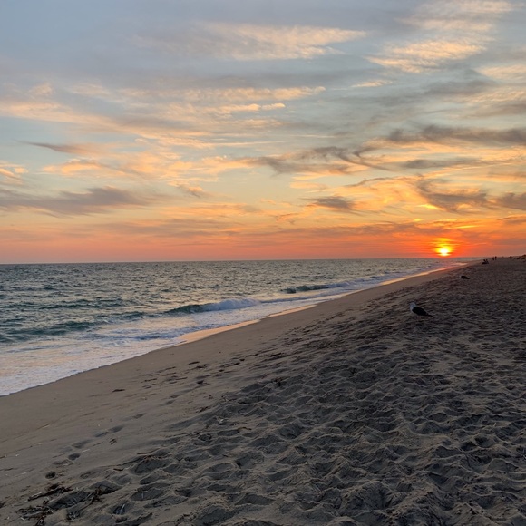 Meet your Posher, Clouette - Picture 1 of 1